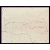Filetto Rosso Marble