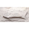Mushroom stone