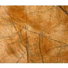 Rain forest gold