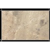 Mint Fossil Natural Sandstone