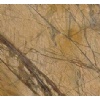 Rain forest brown