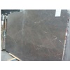 Jurassic Brown Leathered