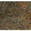 Rain forest Green dark