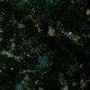 Verde Butterfly