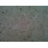 Germany Beige