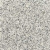 White Silver granite