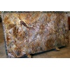 Rainforest Brown marble slabs