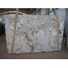 AMAZONAS WHITE SUCURI