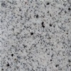 Shandong White