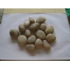 White Natural Pebble