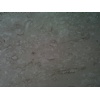 White Mushroom/ BEIJIN