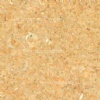 Fossile Giallo marble