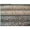 Granite Countertops- XDS08