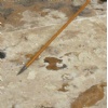 Rustic Dark Travertine