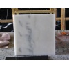 guangxi white