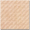 Anti Slip Tile, Conductive Tile, Tactile Tile (C10