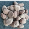 pebble stone
