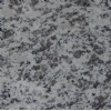 white granite tile
