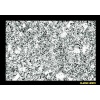 IMPORTED GRANITE 10
