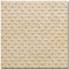 Porcelain Homogeneous Tile, Glazed Rustic Tile (C1