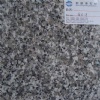 G018 Granite