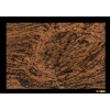 IMPORTED GRANITE 25