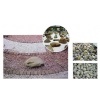 Pebble
