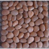 Pebble Mosaic PM024