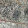 Rainforest Green, green marble