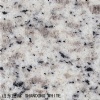 Shandong White