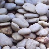 Pebble P009