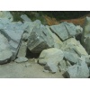 curshed stones