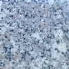 GRANITE VIETNAM ORIGIN : VNR4