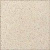 Beige Compressed Marble - BM0837