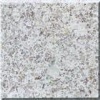 Zhenzhu White