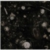 Pietra Di Erfoud marble