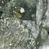 Verde Marinace Granite