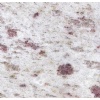 White Galaxy granite tiles