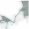 Arabescato Corchia Marble