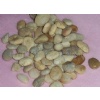 Pebble Stone