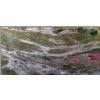 Verde Cactus granite