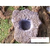 Volcanic Flower Vase