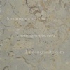 Sahara Gold limestone