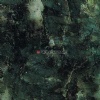 BUTTERFLY GREEN