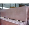 Straight Vein Red Sandstone