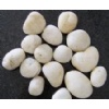 White Round Pebbles