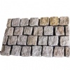 Paving Stone FPS-01