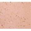 Mini Grain Pinky Agglomerate Stone - BF1005