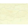 Bianco Perlino