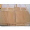 Yellow Wood Vein Sandstone